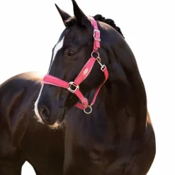 LeMieux - Licol pour chevaux Versailles cranberry