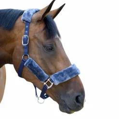 LeMieux - Licol pour chevaux Comfort marine
