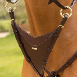 LeMieux - Martingale Bib Kudos havane/ laiton