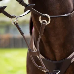 LeMieux - Martingale élastique marron/ argent