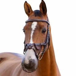 LeMieux - Protection de nasaux Comfort Shield Grackle marron