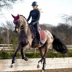 LeMieux - Tapis de dressage Square Soft Shell Anti Glisse EuroJump bordeaux