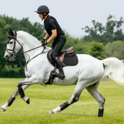 LeMieux - Tapis de selle Close Contact Square noir