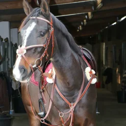 Lexington - Collier De Chasse 5 Points