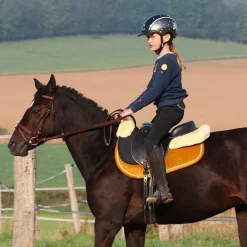 Norton - Bardette club Luxe noir