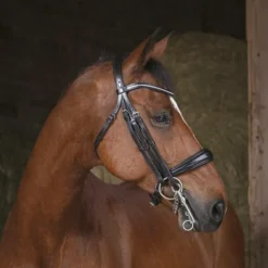 Norton - Bride strass noir