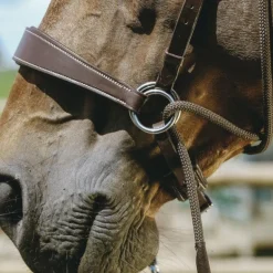 Norton - Bridon Bitless avec rênes havane