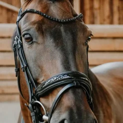 Norton - Bridon de dressage Royal noir