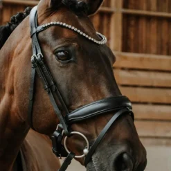 Norton - Bridon de dressage Diams noir