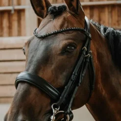 Norton - Bridon de dressage Onyx noir