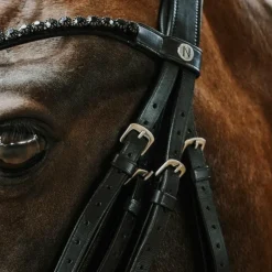 Norton - Bridon de dressage Onyx noir