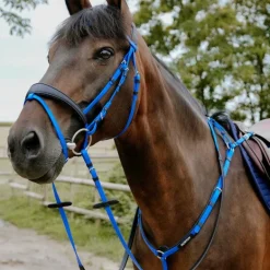 Norton - Bridon endurance Pop bleu électrique