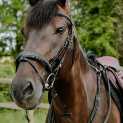 Norton - Bridon endurance Pop noir