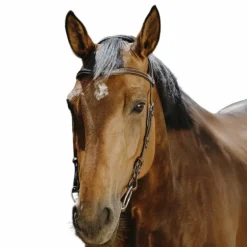Norton - Bridon Freedom marron