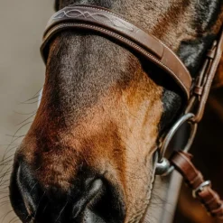 Norton - Bridon Hunter en cuir havane