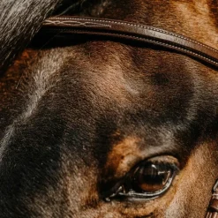 Norton - Bridon Hunter en cuir havane