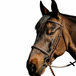 Norton - Bridon Hunter Soft havane