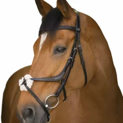 Norton - Bridon muserolle croisée noir