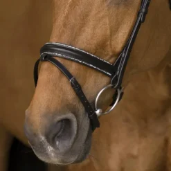 Norton - Bridon rock noir