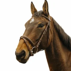 Norton - Bridon Square havane