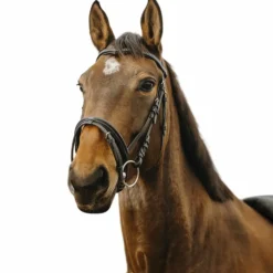 Norton - Bridon Strass V noir