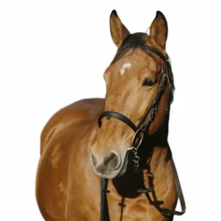 Norton - Bridon Training noir