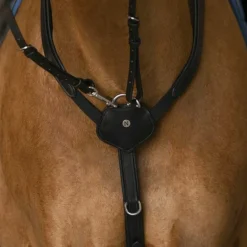 Norton - Collier de chasse pro Confort noir