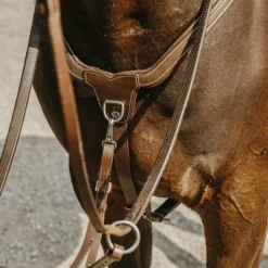 Norton - Collier de chasse 5 points havane