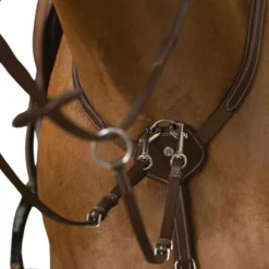 Norton - Collier de chasse pro Confort havane