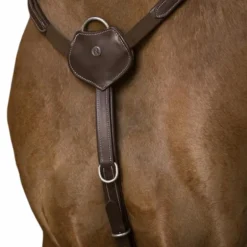 Norton - Collier de chasse pro Confort havane