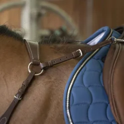 Norton - Collier de chasse pro Confort havane