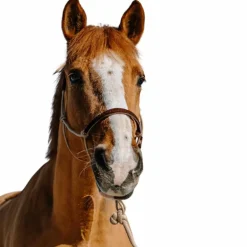 Norton - Ensemble licol éthologique et longe Suède beige/ marron