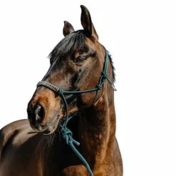 Norton - Ensemble licol éthlogique et longe Deco vert/ beige