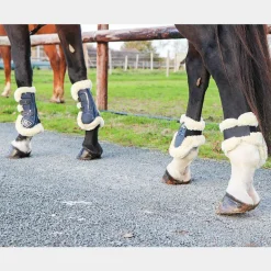 Norton - Guêtres cheval XTR à boutons mouton marine x2