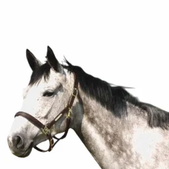 Norton - Licol à double réglage havane