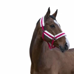 Norton - Licol Confort framboise