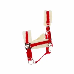 Norton - Licol Confort rouge/bouclerie argenté