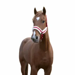 Norton - Licol Confort rouge/bouclerie argenté