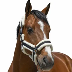 Norton - Licol Cosy noir