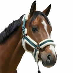 Norton - Licol Cosy vert foncé