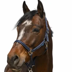 Norton - Licol Grooming marine