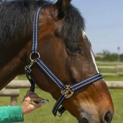 Norton - Licol Grooming marine