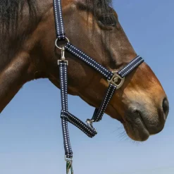 Norton - Licol Grooming marine