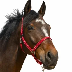 Norton - Licol Grooming rouge