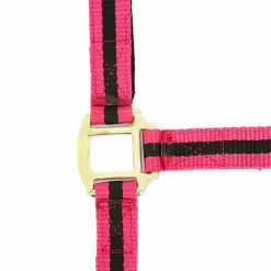 Norton - Licol nylon doublé cuir framboise/ noir