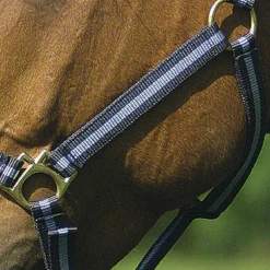 Norton - Licol nylon doublé cuir marine/ gris