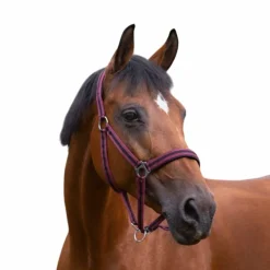 Norton - Licol nylon doublé néoprène bordeaux/ noir