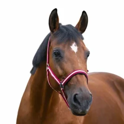 Norton - Licol nylon doublé néoprène rouge/ ecru