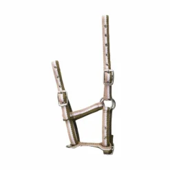 Norton - Licol poulain réglable kaki/ blanc/ beige