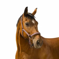 Norton - Licol prune bouclerie métal laqué noir